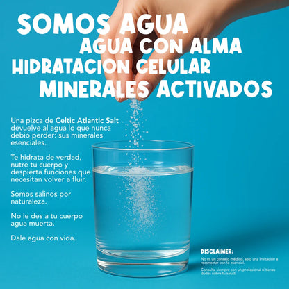 Sal Gris Celta sobre cuchara de madera con grano grueso húmedo natural