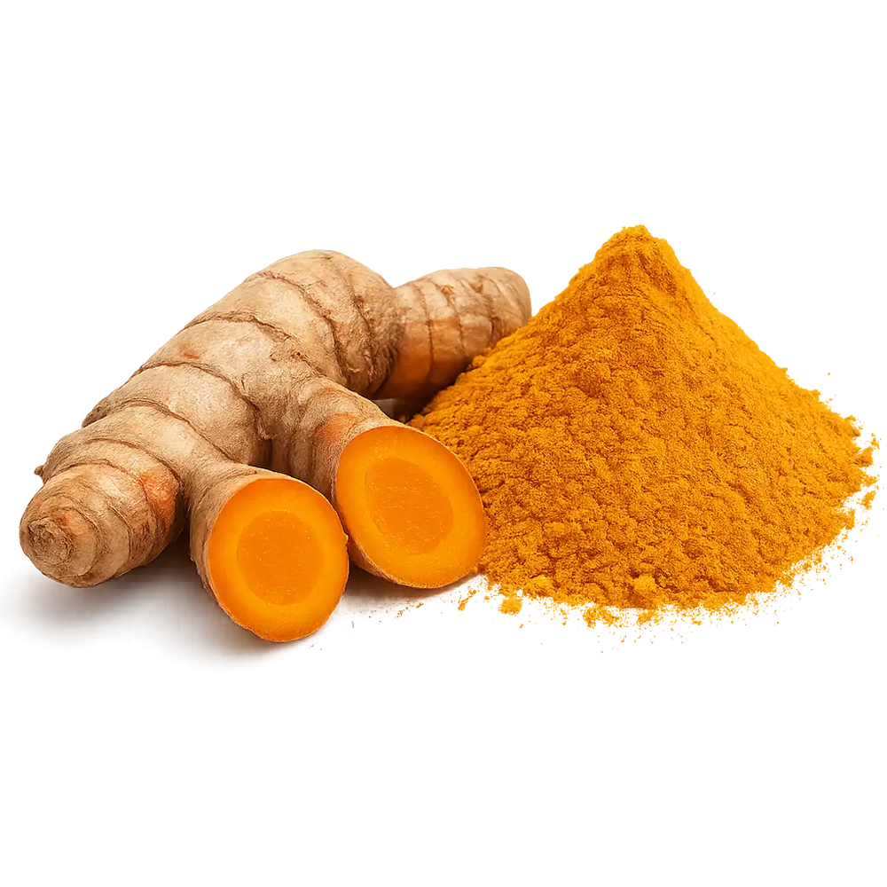 Curcuma en polvo y natural