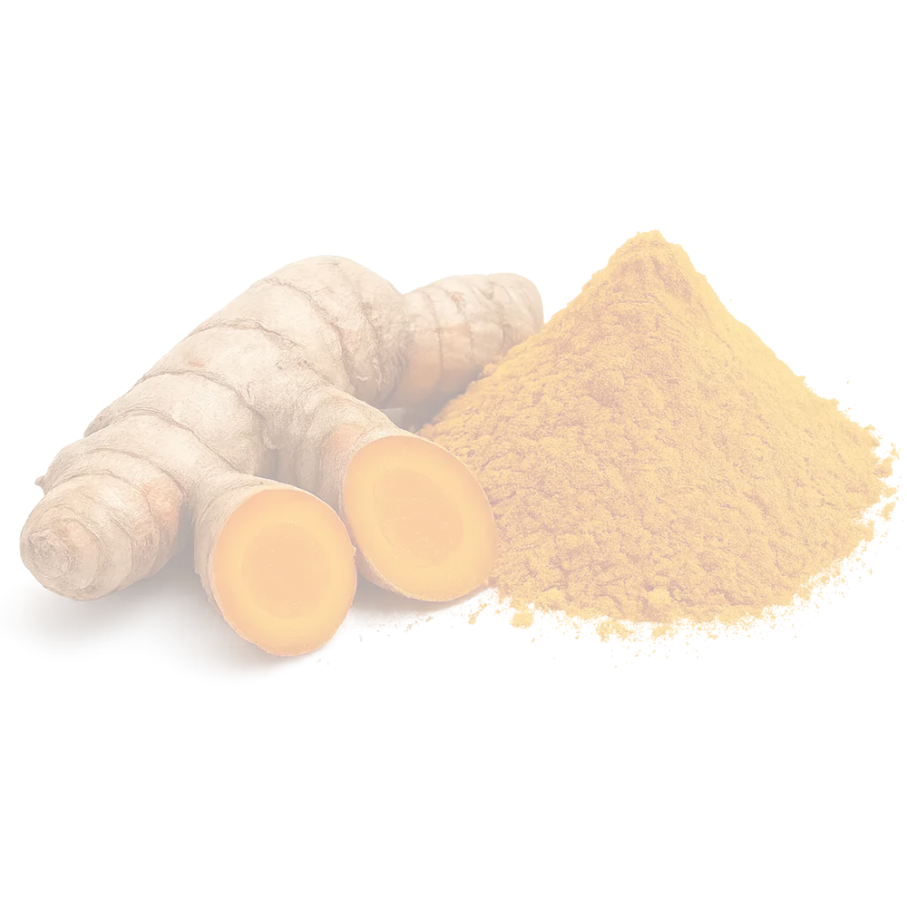 Curcuma en polvo y natural trasparent