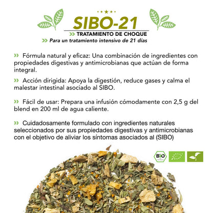 SIBO-21 | Tratamiento de choque para SIBO de 21 días | 100% NATURAL..