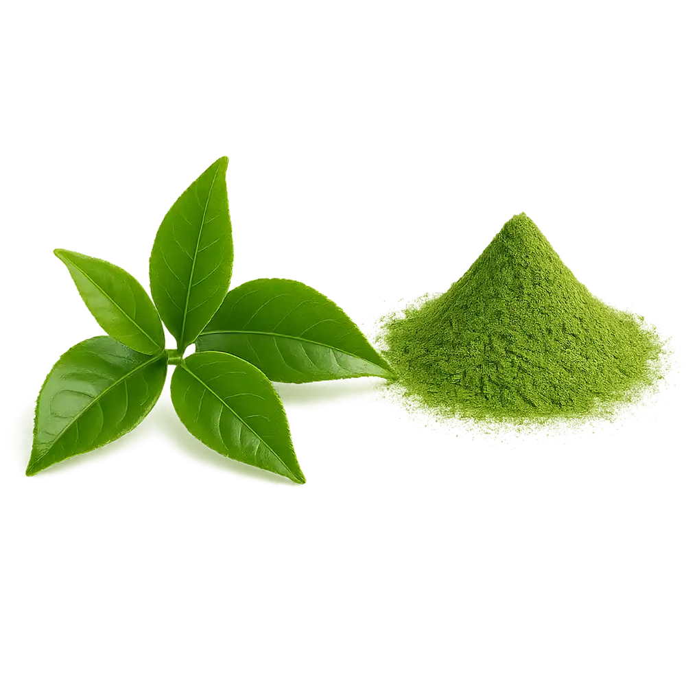 Matcha en polvo y hoja