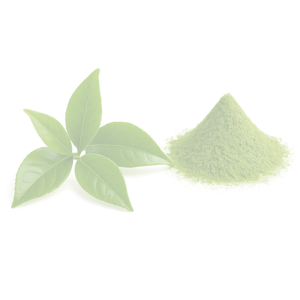 Matcha en polvo y hoja - trasparent